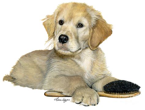 Golden Retriever Puppy Painting By Liane Weyers Pixels