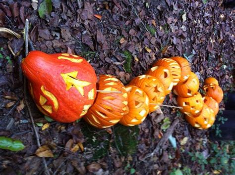 Pumpkin Snake Pumpkin Carving Pumpkin Pumpkin Halloween Decorations