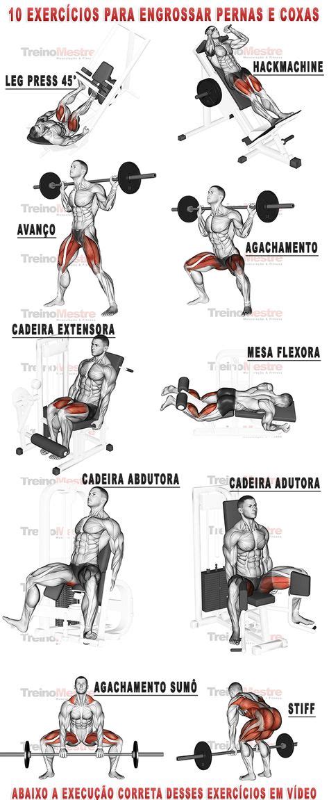 29 Leg Exercises With Weights Ideas Gym Workouts Workout Routine