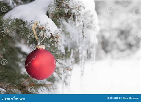 Red Christmas Ornament On Snowy Tree Stock Photo Image 46453054