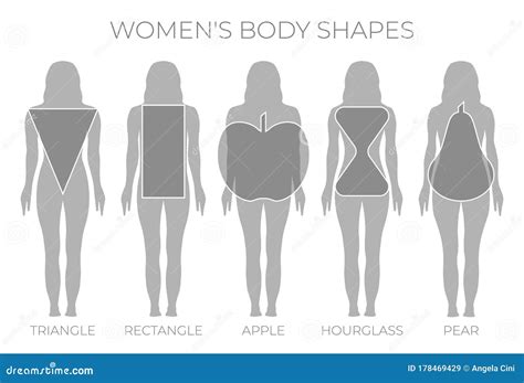 Woman Body Shapes Triangle Rectangle Apple Pear And Hourglass Stock