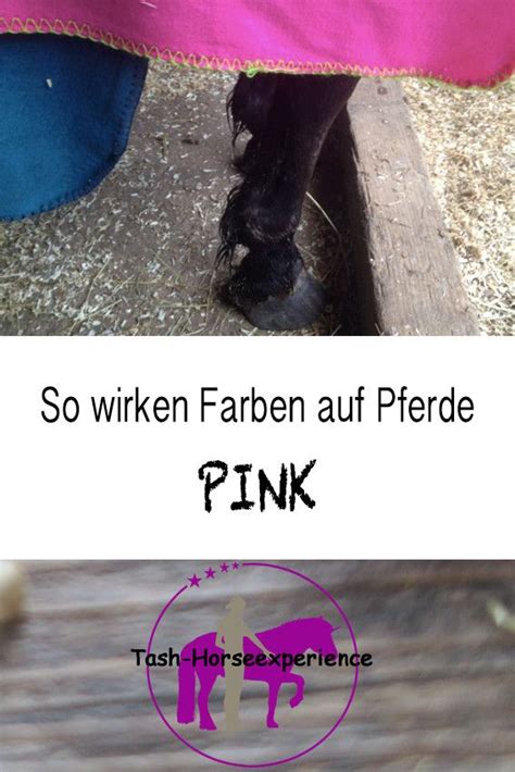 Also pink gehört nicht zu den grundfarben. Wie Farben auf unsere Pferde wirken - PINK - Tash ...
