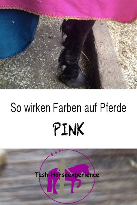 Farben mischen pink mischen : Wie Farben auf unsere Pferde wirken - PINK - Tash-Horseexperience | Pferde, Reiten, Pferd