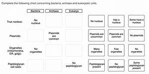 Solved Complete The Following Chart Concerning Bacteria