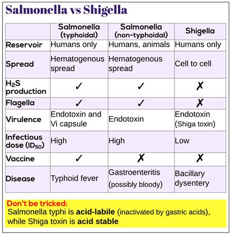 Salmonella Vs Shigella Medicine Keys For Mrcps