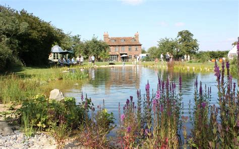 Half off ponds' pond kits are designed to give you everything you need to build your own pond, waterfall, and watergarden. Creating a garden pond: how to choose the right lining ...