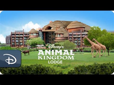 79 Animal Kingdom Lodge Logo Pendekkomey