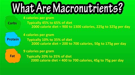 What Are Macronutrients Functions Of Macronutrients Macronutrient
