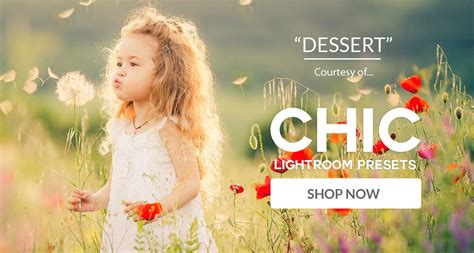 How to download and install lightroom presets free lightroom presets for portraits however, free lightroom presets are a great opportunity to test the waters before committing. Free Lightroom Preset Dessert - Download Now!