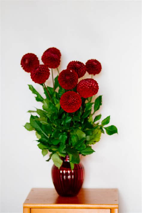 Uniquewise 37.5 tall bamboo floor vase glossy red qi003243. Free photo: Red Flower Vase - Bloom, Blossom, Bouquet ...