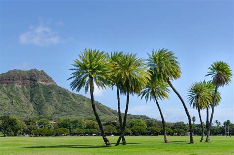 The Top 10 Kapiolani Park Tours And Tickets 2023 Oahu