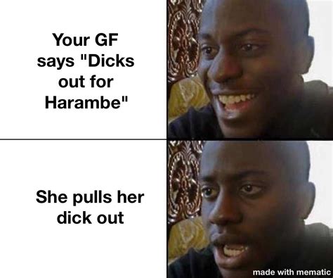 Dicks Out For Harambe Rmemes