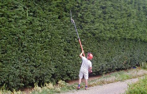 Maybe you would like to learn more about one of these? Robingate landscapes - Home