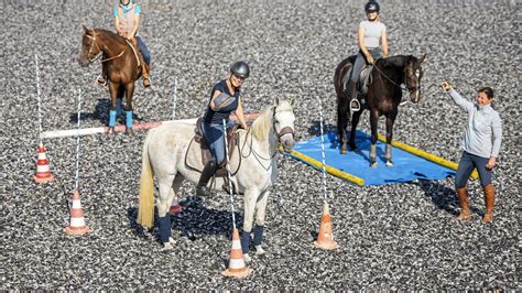 4 Übungen Für Working Equitation Cavallode