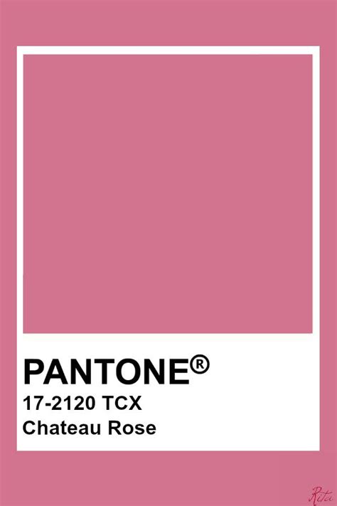 Pantone Chateau Rose Pantone Colour Palettes Pantone Color Pantone