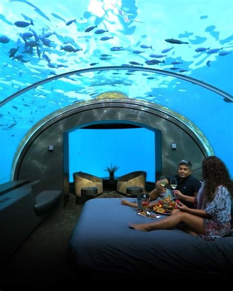 The Conrad Maldives Rangali Island Hotel Underwater Villa One Night S