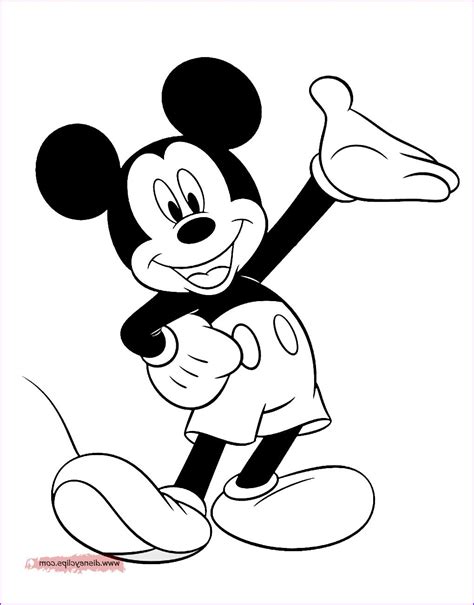 Mickey Dan Minnie Mouse Kumpulan Gambar Mewarnai Anak Facebook