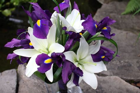 Maybe you would like to learn more about one of these? BB0325-White Lily and Purple Iris Wedding Bouquet.JPG ...