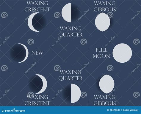 Fases Da Lua O Ciclo Inteiro Da Lua Nova A Completamente Ilustração Do