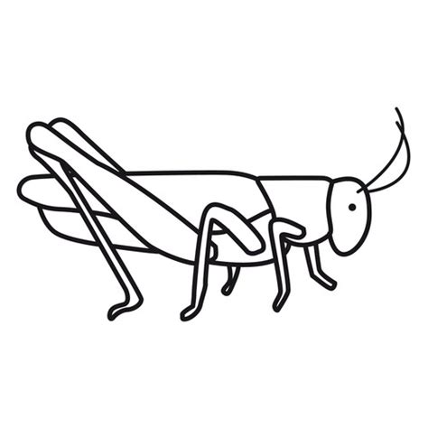 ¡colorea los gatos que más te gusten! DIBUJOS DE SALTAMONTES PARA PINTAR