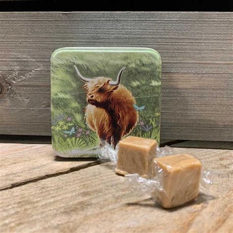Highland Cow Tin And Clotted Cream Fudge 55g Sweets