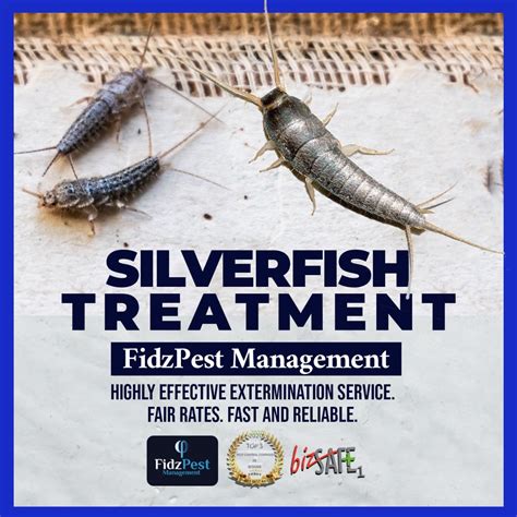First choice pest specialist, singapore. Fidz Pest Management Singapore - Home | Facebook
