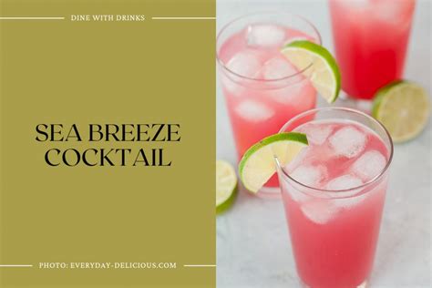 27 Easy Titos Cocktails That Will Shake Up Your World Dinewithdrinks