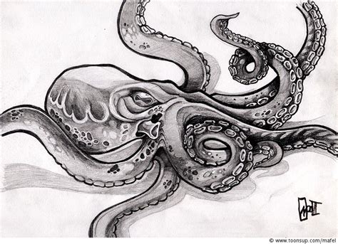 Marine animal or mollusc with tentacles, deep sea creature, underwater inhabitant, ocean monster. Kraken Drawing, Pencil, Sketch, Colorful, Realistic Art ...
