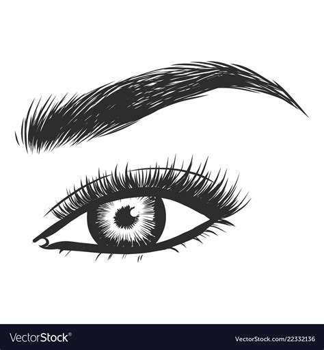 Beauty Care Beautiful Hand Drawing Eyebrows Vector Image