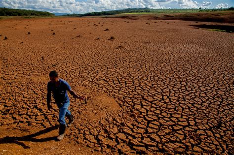 Seca E Desertificação Floresta Em Pé E Energia Limpa Para Evitar Novas Crises Greenpeace Brasil