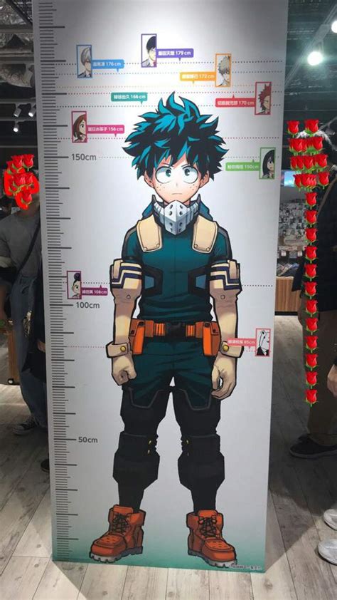 How Tall Are You My Hero Academia Amino