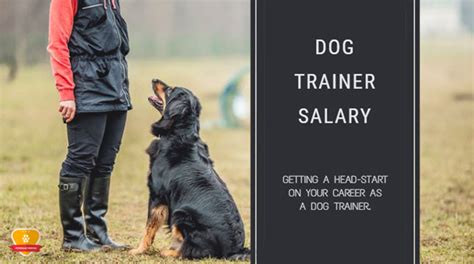 What Is The Salary Of A Service Dog Trainer