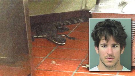 Man Charged For Prank Tossing Alligator Through Florida Drive Thru