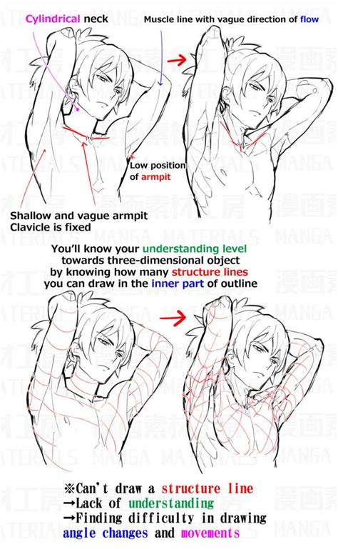 Manga Materials On Twitter Drawing Reference Anatomy Drawing