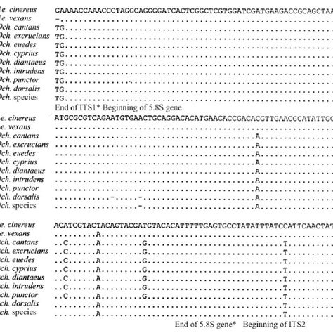 Aligned 58s Gene Sequences Of 11 Species Of The Genera Aedes And