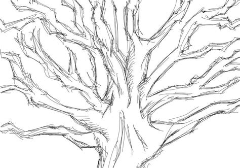 Pencil Simple Tree Branch Drawing