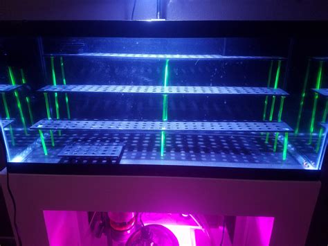 We did not find results for: First try at a DIY frag rack for my 40g breeder. : ReefTank