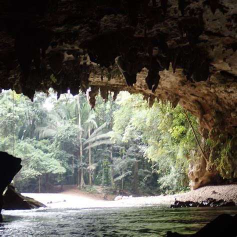 Nohoch Cheen Caves Branch Archaeological Reserve Ciudad De Belice