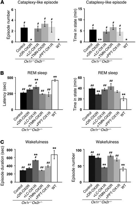 Orexin Neurons Suppress Narcolepsy Via 2 Distinct Efferent Pathways