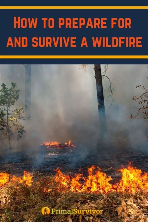 How To Prepare For And Survive A Wildfire