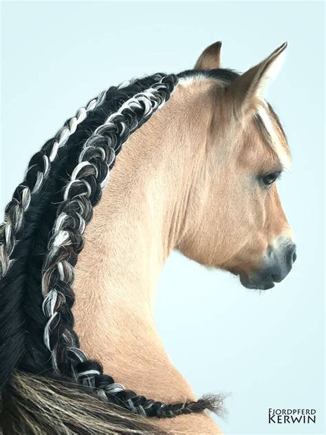 Learn how to create the best knotted, braided or loose long hairstyles for men. Double mane braid. Running braid. Long mane. Horses ...