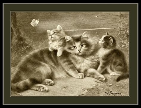 English Picture Mother Cat Kittens Cats Kittens Vintage