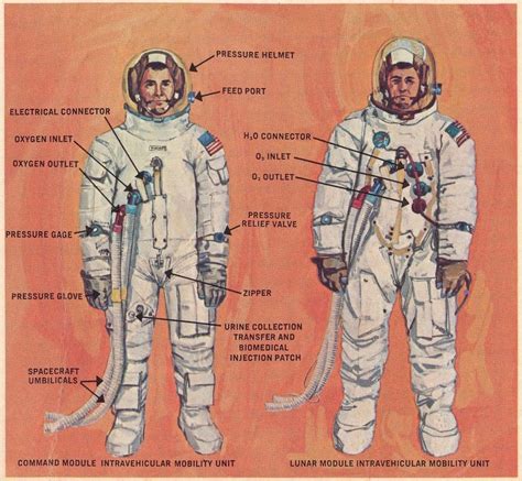 Humanoid History Lunar Landing Space Suit Apollo