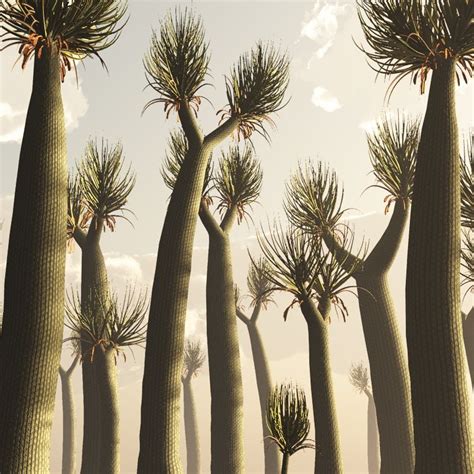 Sigillaria Dr Weird Trees Prehistoric World Prehistoric Animals