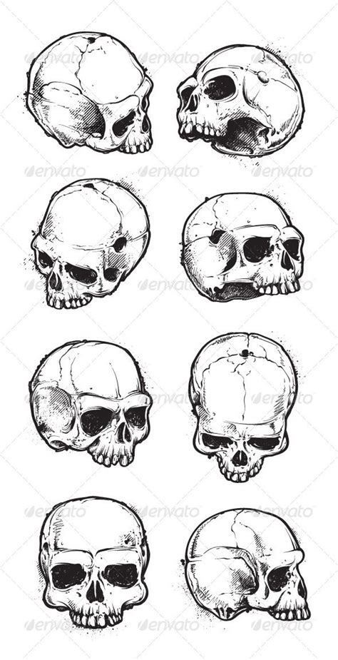 Hand Drawn Skulls Set Skull Sketch Skull Drawing Skulls Drawing