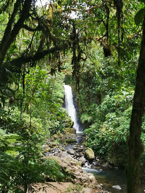 Lovely Trip In Costa Rica La Paz Waterfall Gardens Rtravel
