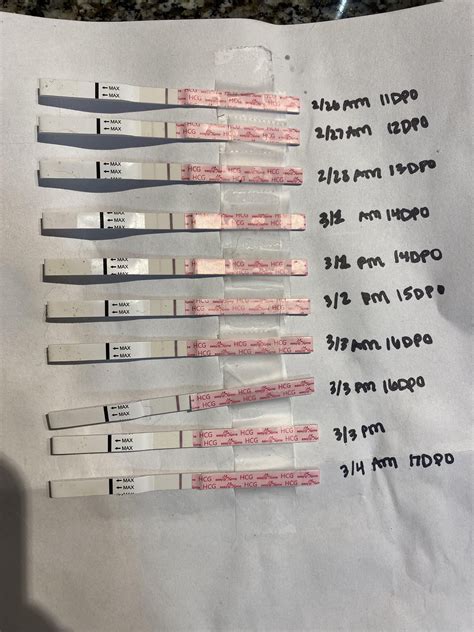 Chemical Pregnancy Line Progression 11 17 Dpo Frer And Easyhome R