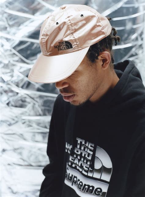 Supreme® | the north face®. Supreme x The North Face Spring 2018 Metallic Collection ...