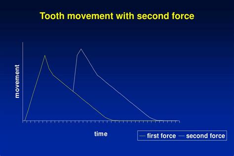 Ppt Functions Of The Periodontium Powerpoint Presentation Free