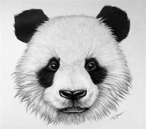 Panda Bear Drawing By Lethalchris In 2023 Panda Drawing Panda Art